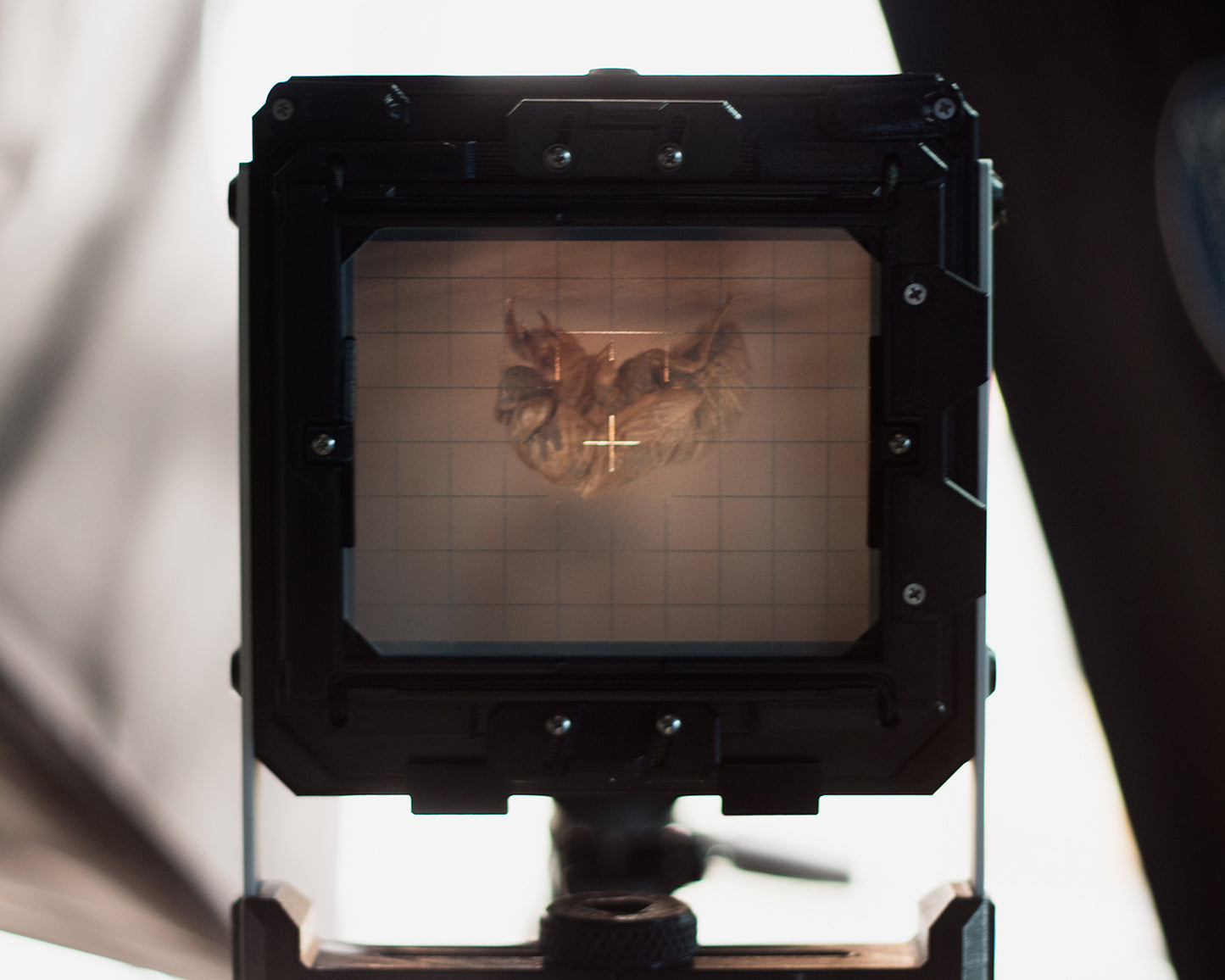 Standard 4×5 Ground Glass