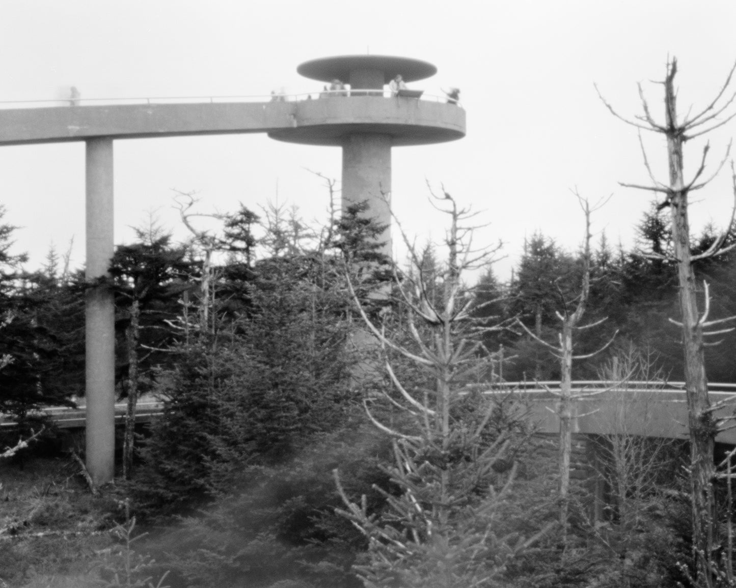 Pinhole Lens 3.0 - Download